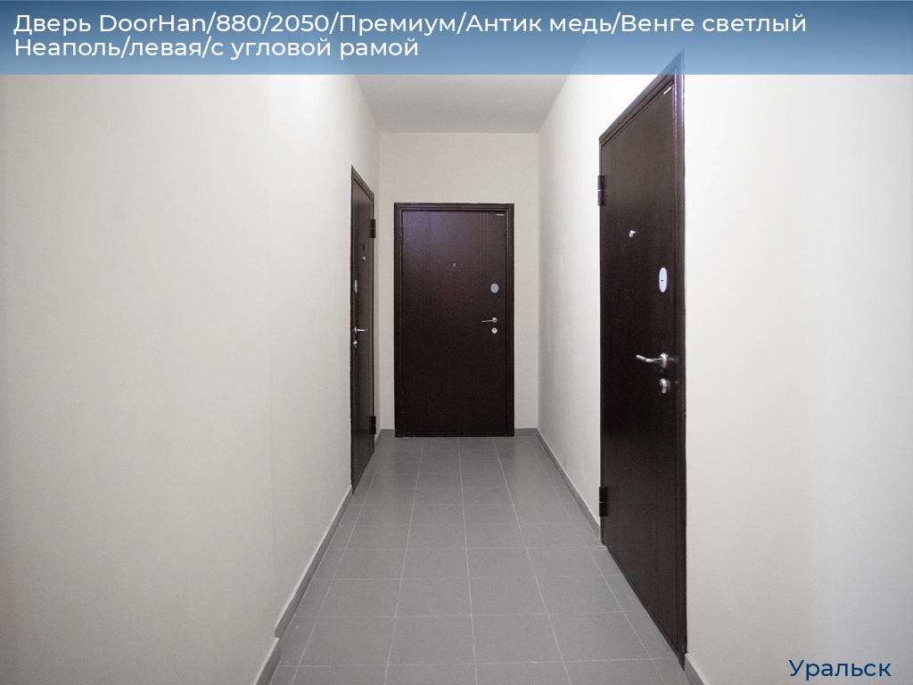 Дверь DoorHan/880/2050/Премиум/Антик медь/Венге светлый Неаполь/левая/с угловой рамой, uralsk.doorhan.ru